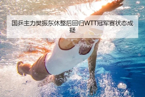 国乒主力樊振东休整后回归WTT冠军赛状态成疑