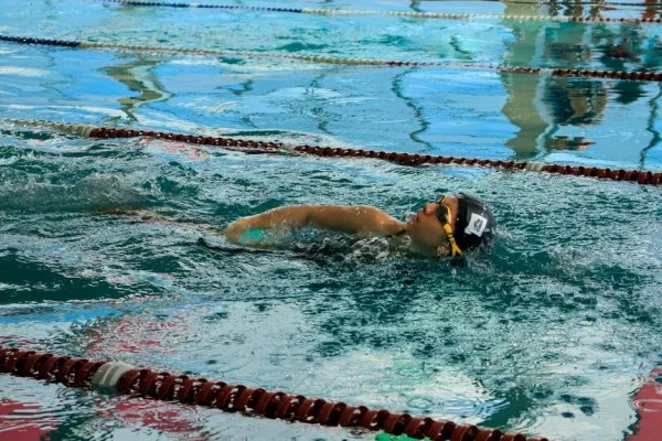 female swimmer freestyle